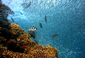 Mediterraneo sempre più rovente nell’inverno più caldo degli ultimi 40 anni