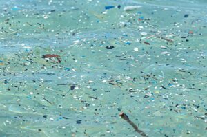 Le microplastiche riducono la capacità dell’oceano di sequestrare CO2