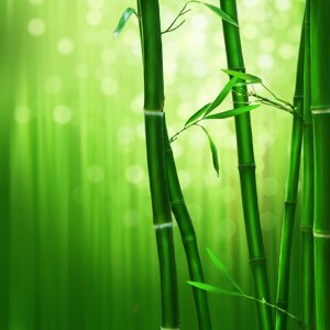 Arriva dalla Cina una plastica biodegradabile fatta al 100% di bambù
