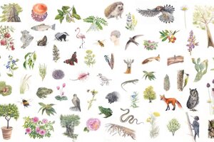Tutela della biodiversità: ecco le procedure messe a terra del Fai