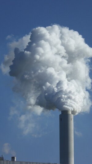 Dal clima alle pandemie, cosa ci aspetta nel 2025 secondo “Science”