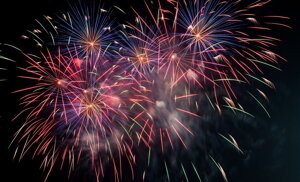 Gli effetti nocivi dei fuochi di capodanno su ambiente, uomini e animali