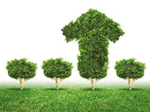 Investimenti e transizione ecologica: i trend e le opportunità del 2025