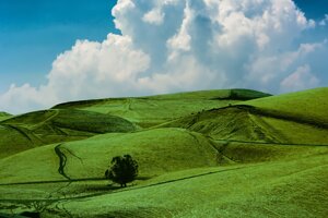 Le parole più usate nel 2024 legate a clima ed ambiente