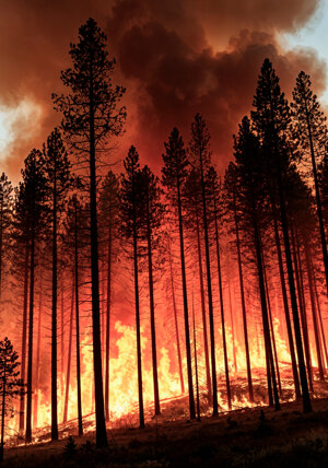 Adattamento: ci si attiva di più se il disastro climatico è dietro casa