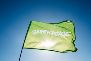 Un anno di azioni e vittorie per il pianeta: il nostro 2025