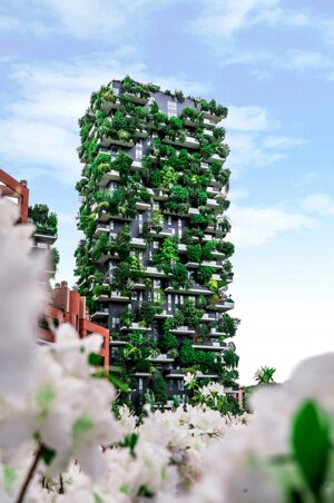 I vantaggi dei giardini verticali non sono solo estetici: abbassano la temperatura in città