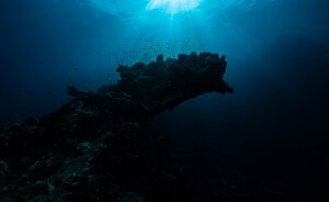 Giornata Mondiale dell’Ambiente 2025: un pianeta messo alla prova, l’economia circolare come risposta concreta