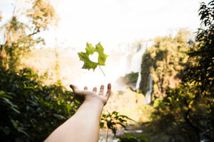 Giornata mondiale dell’ambiente: voi con quale Ong state? 