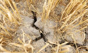 L’acqua è un bene pubblico e si difende con innovazione e competitività: ecco la nuova strategia Ue