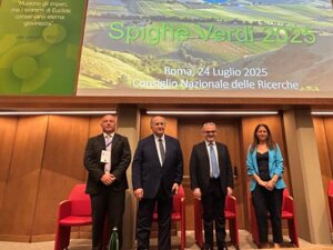 Assegnate le Spighe Verdi 2025: Sono 90 i Comuni virtuosi