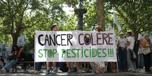 Pesticidi, la Francia condannata a riesaminare tutte le autorizzazioni concesse