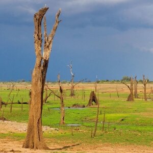 L’UE deve investire 70 miliardi l’anno nell’adattamento climatico fino al 2050. L’Italia 10