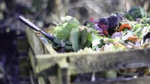 Sconto Tari, gennaio mese decisivo per chi pratica il compost fai da te