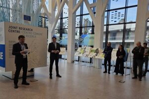 Boschi, chi se ne deve prendere cura? In realtà tutti noi