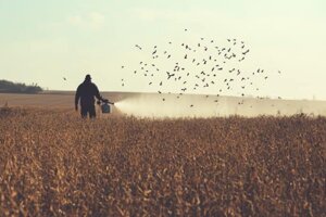 Pesticidi per sempre: con la riforma Ue uso illimitato per il Glifosato (e altri 48)