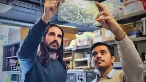 Plastica, addio: arriva l’alternativa biodegradabile che diventa più forte a contatto con l’acqua