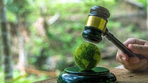 Dieci anni di climate litigation, con uno sguardo a domani