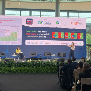 Il 2025 un anno con segno meno per le rinnovabili. Cosa le frena? Anche disinformazione e pregiudizi