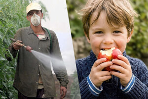 Pesticidi: il pericolo invisibile che finisce nel nostro cibo