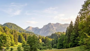 Parchi naturali e benessere: quando la natura protetta migliora la qualità della vita