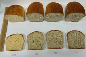 Un pane di grano “senza glutine”. È la svolta firmata dal Cnr di Avellino