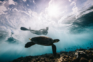 Giornata mondiale degli Oceani: come stanno i nostri mari? Sotto pressione, ma c'è molto che possiamo fare