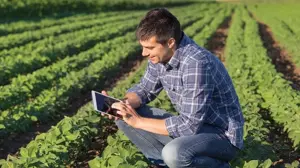Agricoltura sostenibile la rivoluzione verde che cambia il cibo