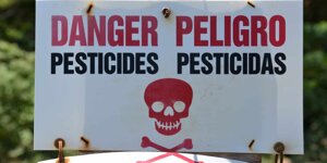 I pesticidi nell’ambiente possono aumentare fino al 150% il rischio di cancro