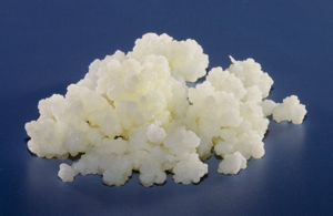 Kefir: un ecosistema alleato del microbiota