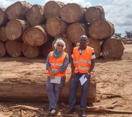 La signora del legno etico e sostenibile