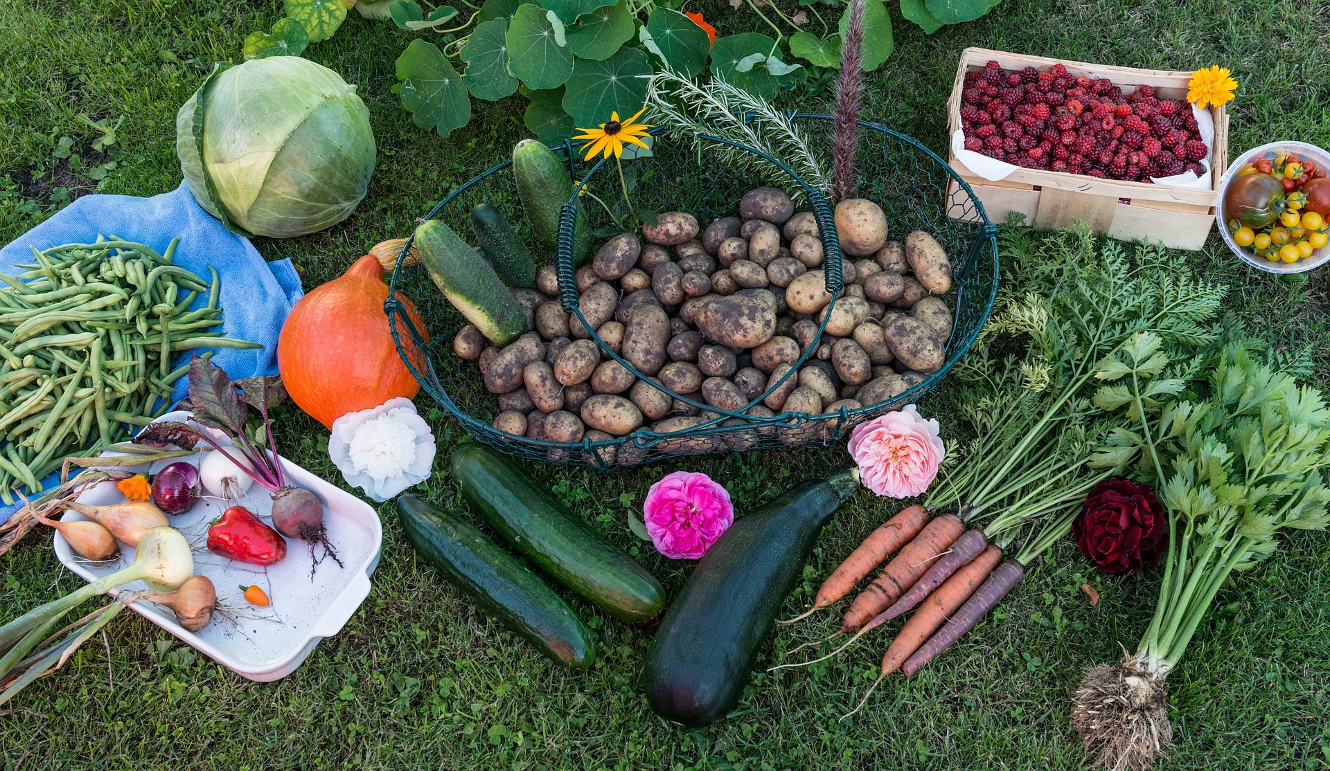 Verso un’economia circolare del cibo