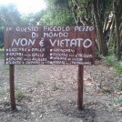 L'asilo nel bosco: dove non è vietato sporcarsi