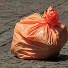 Quanto tempo impiega a degradare un sacchetto di plastica gettato in mare?