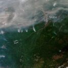 Gl’incendi in Siberia stanno causando una crisi ambientale globale