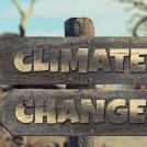 Riflessioni sul cambiamento climatico - di Laura Bianchi