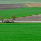 Il mito della “crescita verde” porterà al collasso ecologico, di Francesco Panié