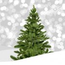 Confagricoltura: Gli alberi di Natale veri e certificati sono una scelta sostenibile