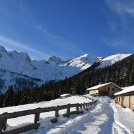 Dalla tempesta Vaia al Green new deal: il Trentino rinasce puntando sulla sostenibilità