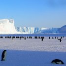 Con scioglimento Antartide rischio +58 centimetri livello del mare