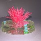 Dalla stampa 3D alghe artificiali per studiare il climate change