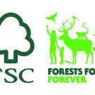 FSC: il 2020 sarà l’anno delle foreste