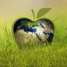 La sostenibilità ambientale, una sfida da affrontare e vincere