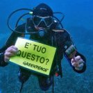 Greenpeace: bene l'impegno del Governo per la tutela del mare