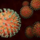 Cambierà il nostro tipo di sviluppo dopo la dura lezione del coronavirus? - di Edo Ronchi