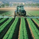 Nuova alleanza per un’agricoltura libera da pesticidi chimici - di Martina Pugno