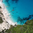 Ambiente. La natura riguadagna i suoi spazi: anche i tonni a riva in Sardegna.