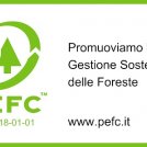 PFEC Italia: no passi indietro su tutela delle foreste