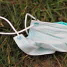 Coronavirus, allarme per mascherine e guanti usa e getta abbandonati: inquinano l’ambiente e sono pericolosi anche per la salute - di Beatrice Raso