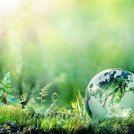 Giornata mondiale ambiente, Ministro Costa: “Priorità Green Deal e tutela del territorio